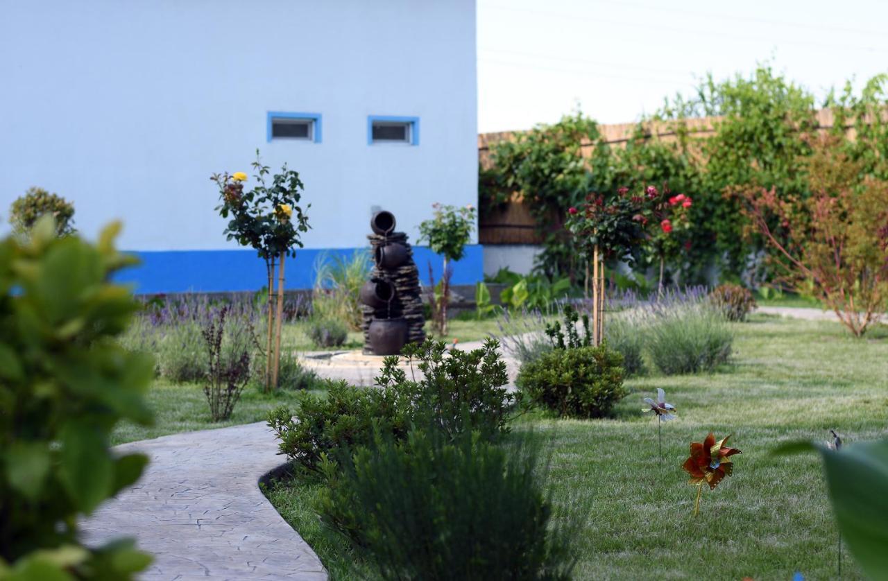 Hotel Sunrise Crisan  Εξωτερικό φωτογραφία